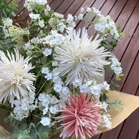 Artificial Stems & Sprays