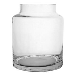 005-418 Terrarium Glass Vase / 17.5cmH