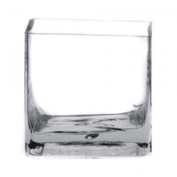 Glass Cube Vase - 10cm x 10cm x 10cmH / Clear -1
