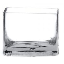 Glass Cube Vase - 12cm x 12cm x 12cmH / Clear -1