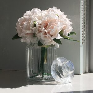 Medium Ribbed Glass Jar with Lid / 14.5cmH -1