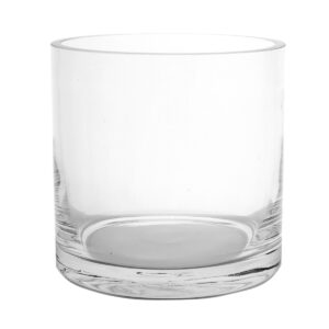 Short Cylinder Glass Vase / 12cmD x 12cmH -1