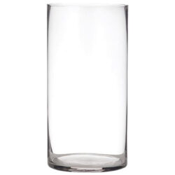 Medium Cylinder Glass Vase / 10cmD x 20cmH -1
