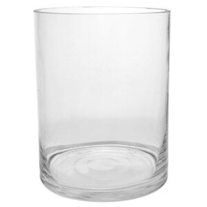 Small Glass Cylinder Vase / 12.5cmD x16cmH -1