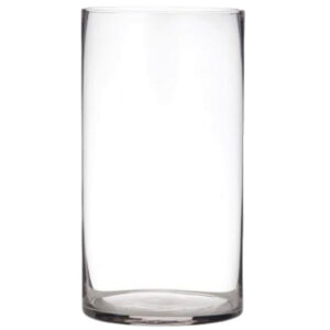 Medium Cylinder Glass Vase/ 15cmD x 25cmH -1