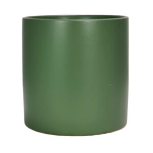 Verona Cylinder Ceramic Vase - 13.5cmD x 13.5cmH / Satin Matte Fern -1