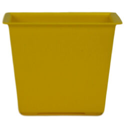 Square Posy Box - 14 x 14 x 11cmH / Yellow