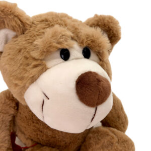 Baxter Plush Bear w/Pocket - 25cmH / Brown -1