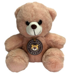 'Sunny' Plush Bear - 20cm / Pink