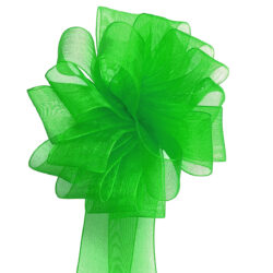 Woven Edge Organza Ribbon - 25mm x 50mts / Lime