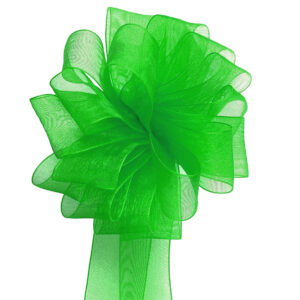 Woven Edge Organza Ribbon - 25mm x 50mts / Lime