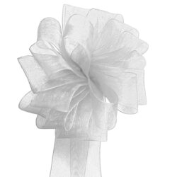 Woven Edge Organza Ribbon - 25mm x 50mts / White