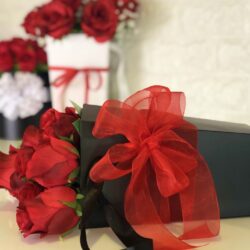 Woven Edge Organza Ribbon - 38mm x 50mts / Red
