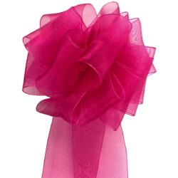 Woven Edge Organza Ribbon - 50mm x 50mts / Beauty