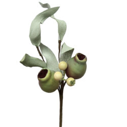 Gumnut Pick - 17.5cmL / Natural -1