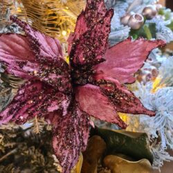 Velvet Poinsettia Stem - 52cmL / Pink