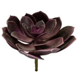 Black Prince Artificial Succulent 12.5cmD / Purple