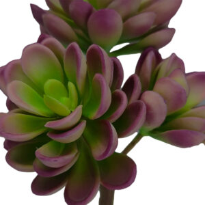 Oros Artificial Succulent - 20cmL / Purple -1