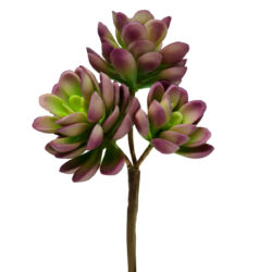 Oros Artificial Succulent - 20cmL / Purple