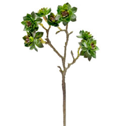 Succulent Spray x 3 - 43cmL / Green