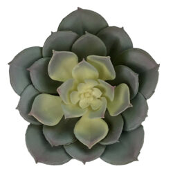 Artificial Pinwheel Succulent - 12cmD / Blue/Green