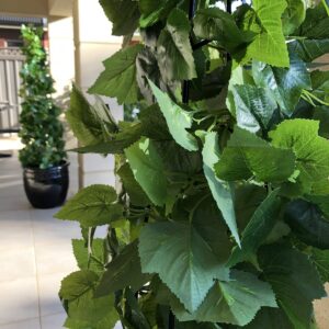 Grape Leaf Garland - 200cmL / Green -1