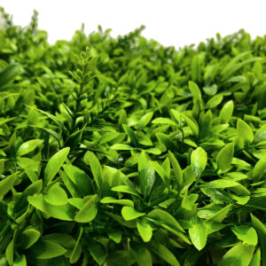 Mixed Greenery Mat - 40 x 60cm -1