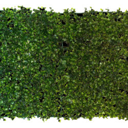 Boxwood Greenery Mat - 40cm x 60cm