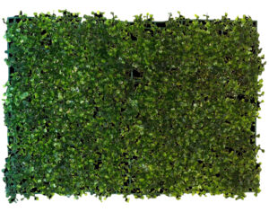 Boxwood Greenery Mat - 40cm x 60cm