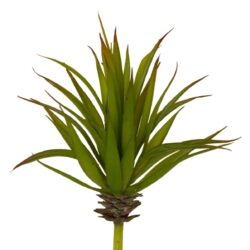 Mini Aloe Succulent - 19cm / Green