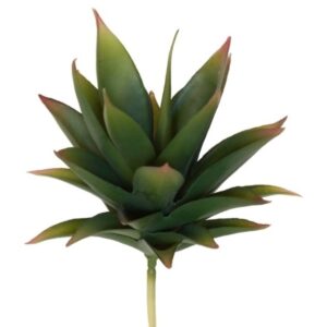 Mini Agave Succulent - 15cmH / Green