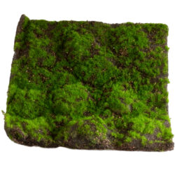 Artificial Moss Mat - 30cm x 30cm