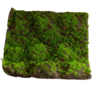 Artificial Moss Mat - 30cm x 30cm
