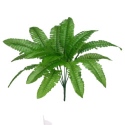 Boston Fern Bush - 41cm / Green