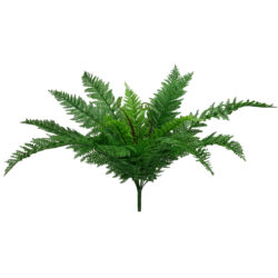 Leather Fern Bush - 57cm / Green