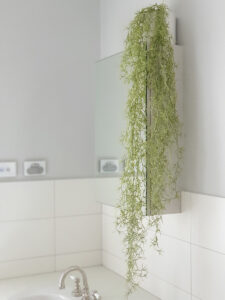 Hanging Spanish Moss - 140cmL / Soft Green -1