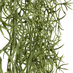 Hanging Spanish Moss - 140cmL / Soft Green