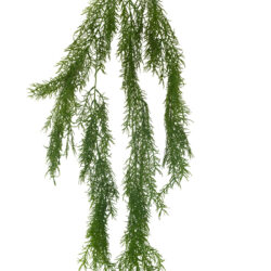 Hanging Asparagus Leaf Spray - 100cmL / Green