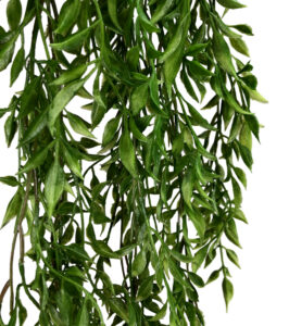 Artificial Hanging Salix Vine - 145cmL / Green -1