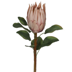 Artificial Protea - 68cmL / Dusty Pink