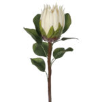 Artificial Protea – 68cmL / Ivory White