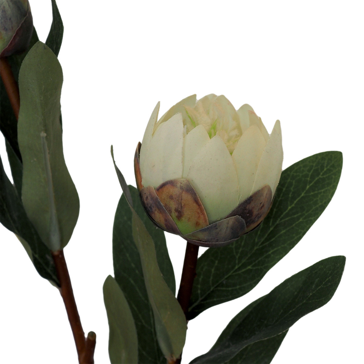 Artificial Protea w/Bud Spray - 71cmL / White -1