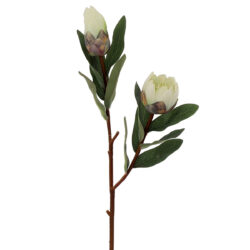 Artificial Protea w/Bud Spray - 71cmL / White