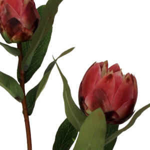 Artificial Protea w/Bud Spray - 71cmL / Dark Pink -1