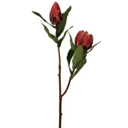 Artificial Protea w/Bud Spray - 71cmL / Dark Pink