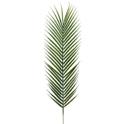Sago Leaf - 75cmL