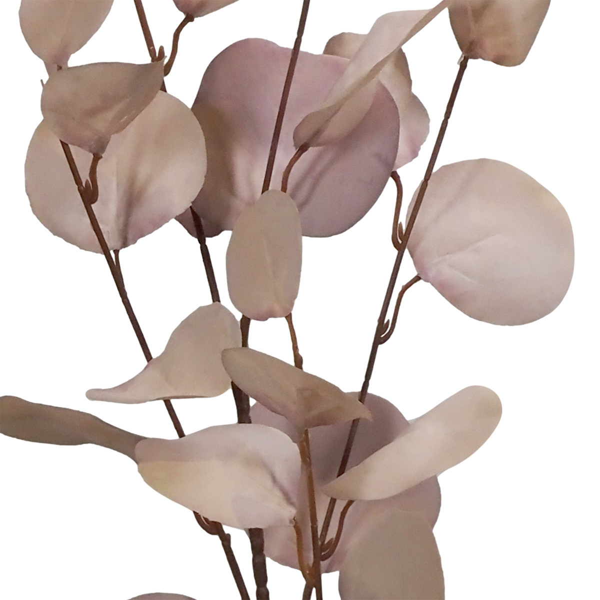 Harlow Gum Spray - 48cmL / Purple -1