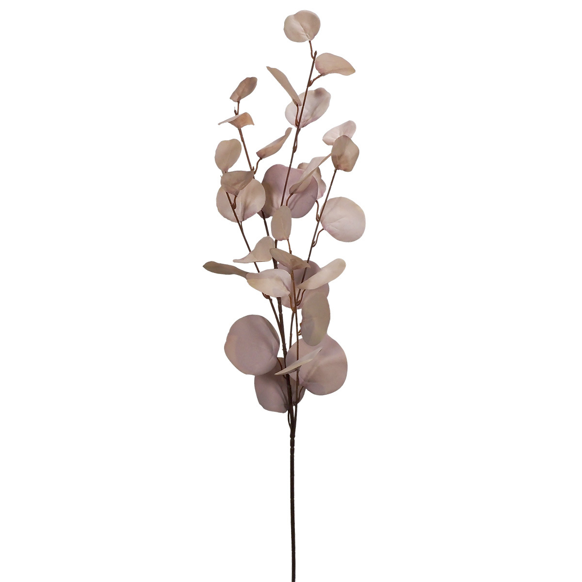 Harlow Gum Spray - 48cmL / Purple