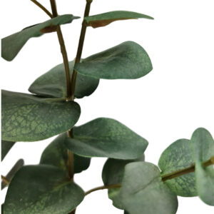 True Blue Eucalyptus Spray - 67cmL / Soft Green -1