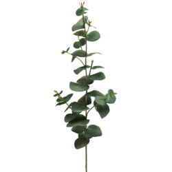 True Blue Eucalyptus Spray - 67cmL / Soft Green